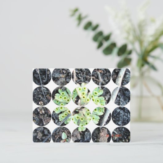 Circle Foto Briefkaart (Staand voorkant)