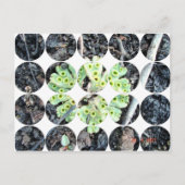 Circle Foto Briefkaart (Voorkant)