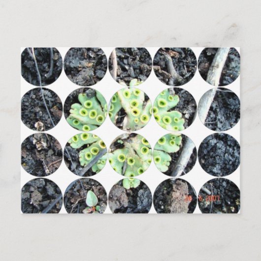 Circle Foto Briefkaart (Voorkant)