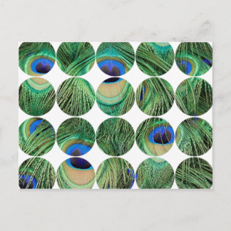 Circle Foto Briefkaart