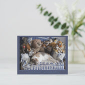 "Circle of Compassion" Miriam Kilmer risingdove Feestdagenkaart (Staand voorkant)