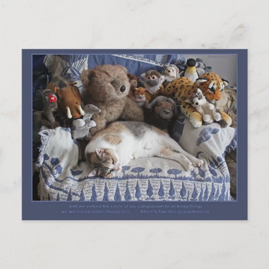 "Circle of Compassion" Miriam Kilmer risingdove Feestdagenkaart (Voorkant)