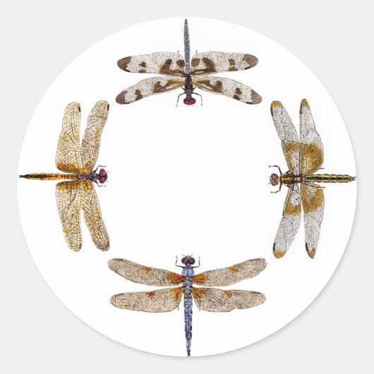 Circle of Dragonflies Stickers (Voorkant)