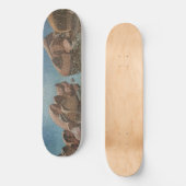 Circle of Stones Lake Tahoe Impressionisme Persoonlijk Skateboard (Voorkant)