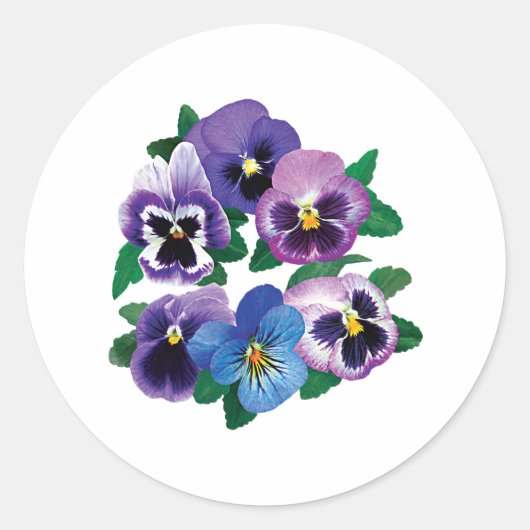 Circle Paarse Pansies Ronde Sticker (Voorkant)