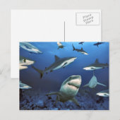 Circuit voor de moord briefkaart (Voorkant / Achterkant)