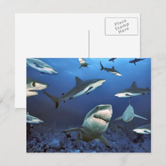 Circuit voor de moord briefkaart (Voorkant / Achterkant)