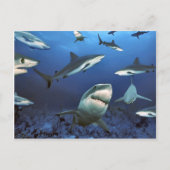 Circuit voor de moord briefkaart (Voorkant)