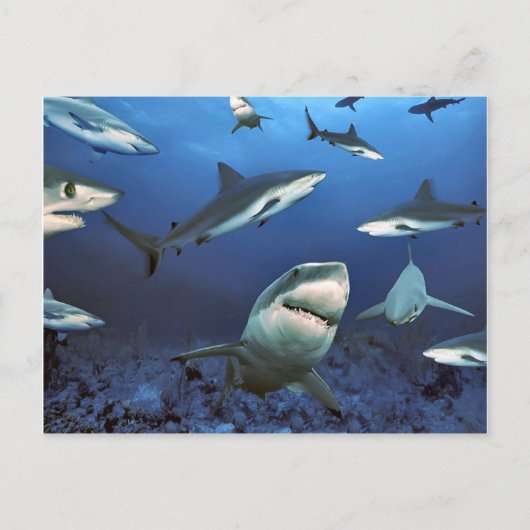 Circuit voor de moord briefkaart (Voorkant)