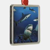 Circuithaaien Metalen Ornament (Rechts)
