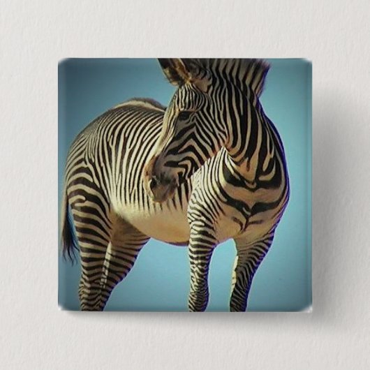 Circulaire Zebra vierkant Vierkante Button 5,1 Cm (Voorkant)
