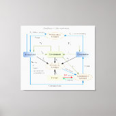 Circulatiediagram in macro-economie canvas afdruk (Voorkant)
