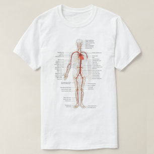 Circulatoire systeemwetenschap   t-shirt