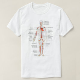 Circulatuur System Science   T-shirt