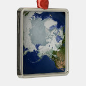 Circum-Arctic permafrost Metalen Ornament (Rechts)