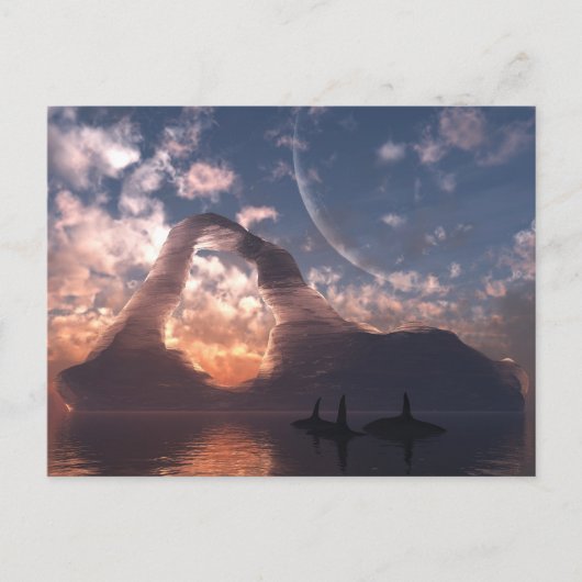 Circumpolair Briefkaart (Voorkant)