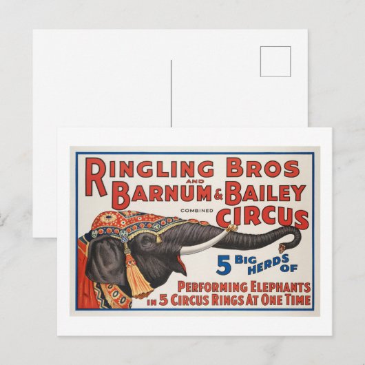 Circus 5 grote kuddes uitvoerende olifanten briefkaart (Voorkant / Achterkant)