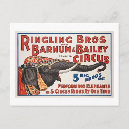 Circus 5 grote kuddes uitvoerende olifanten briefkaart (Voorkant)