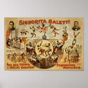 Circus Ad Poster