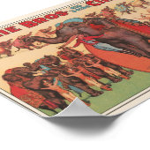 Circus Ad Poster (Hoek)