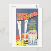  Circus Advertentie: Hoge Pole Act Briefkaart (Voorkant / Achterkant)