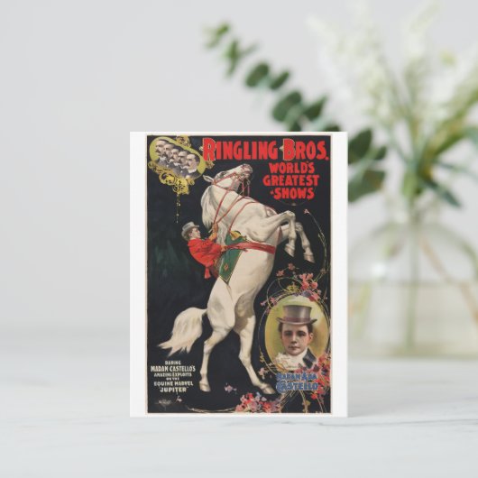 Circus Animal Act Promotie Briefkaart (Staand voorkant)