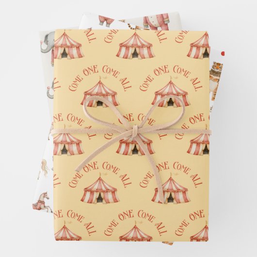 Circus Animal Pattern Verjaardag Inpakpapier Vel (In situ)