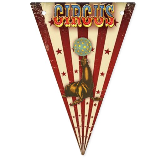  Circus Banner (Eerste vlag)