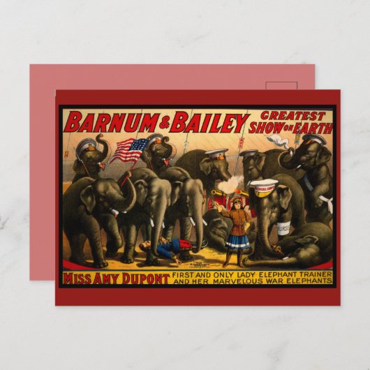  Circus Briefkaart (Voorkant / Achterkant)