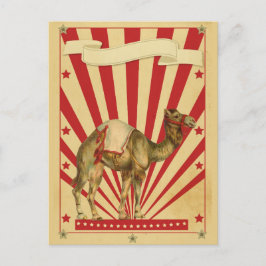  Circus Briefkaart