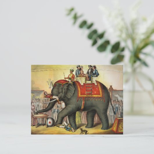  Circus Briefkaart (Staand voorkant)