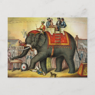  Circus Briefkaart