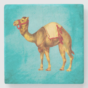 Circus Camel over Aqua Stenen Onderzetter