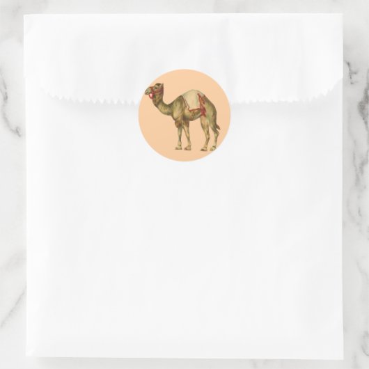 Circus Camel Sticker (Tas)