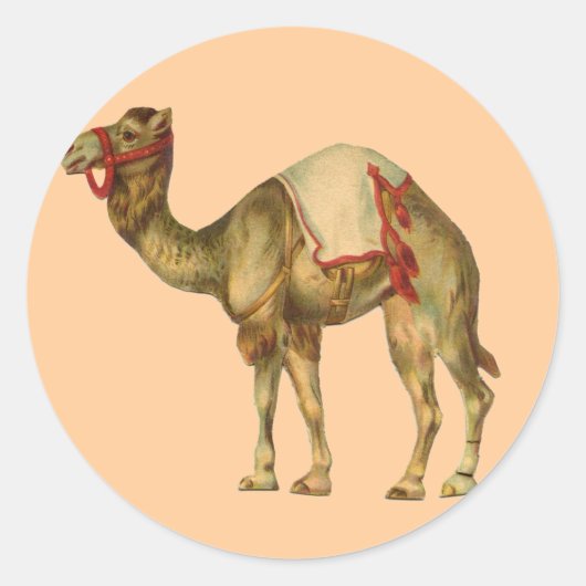 Circus Camel Sticker (Voorkant)