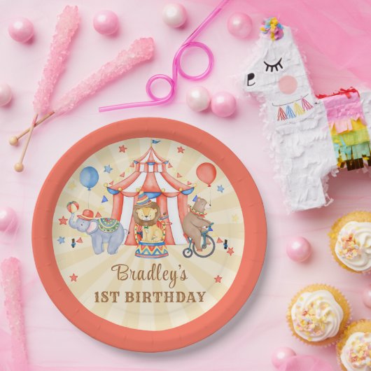 Circus Carnaval & Dieren Verjaardagsfeest Papieren Bordje (Feest)