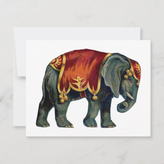  circus dat olifantencircus opvoert, notitiekaartje (Voorkant)