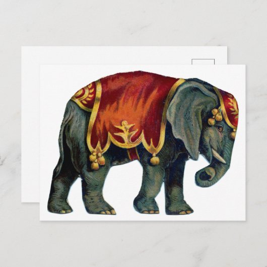  circus dat olifantencircus opvoert, poste briefkaart (Voorkant / Achterkant)