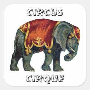 circus dat olifantencircus opvoert, poste vierkante sticker