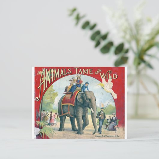 Circus  Design Post Card Briefkaart (Staand voorkant)