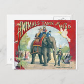 Circus  Design Post Card Briefkaart (Voorkant / Achterkant)