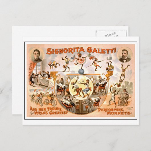 Circus, die apen presteert Briefkaart (Voorkant / Achterkant)