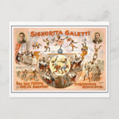 Circus, die apen presteert Briefkaart (Voorkant)
