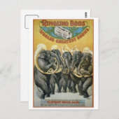 Circus Elephants Brass Band Briefkaart (Voorkant / Achterkant)