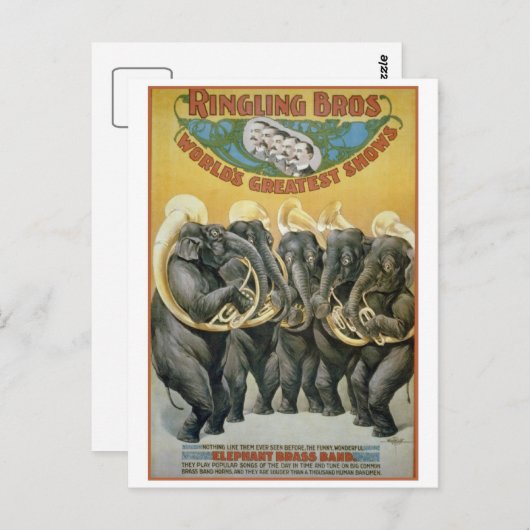 Circus Elephants Brass Band Briefkaart (Voorkant / Achterkant)