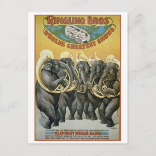 Circus Elephants Brass Band Briefkaart