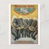 Circus Elephants Brass Band Briefkaart (Voorkant)