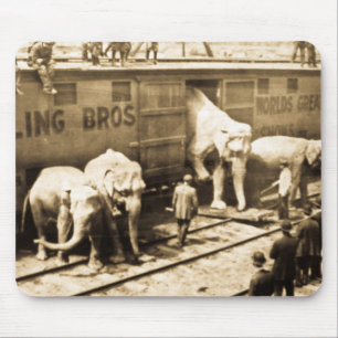 Circus Elephants die uit de trein stappen Muismat