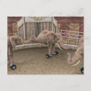 Circus Elephants Feestdagenkaart