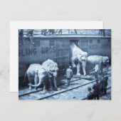  Circus Elephants Ringling Railroad Car Briefkaart (Voorkant / Achterkant)